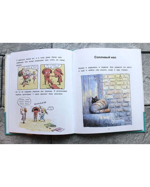 Кот Пончик. Мохнатое семейство