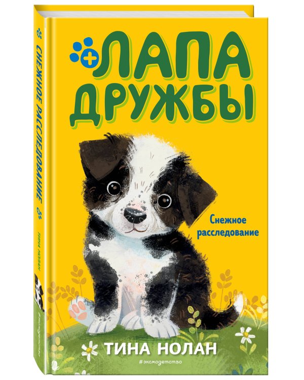 Снежное расследование