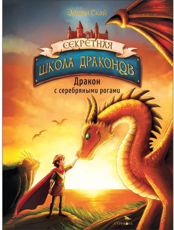 Секретная школа драконов Книга 2.Дракон с серебряными рогами