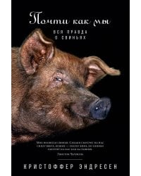 Почти как мы: Вся правда о свиньях
