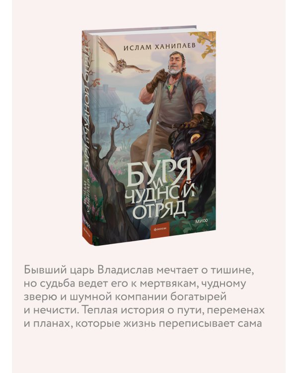 Дополнительное изображение книги «Буря и чудной отряд»
