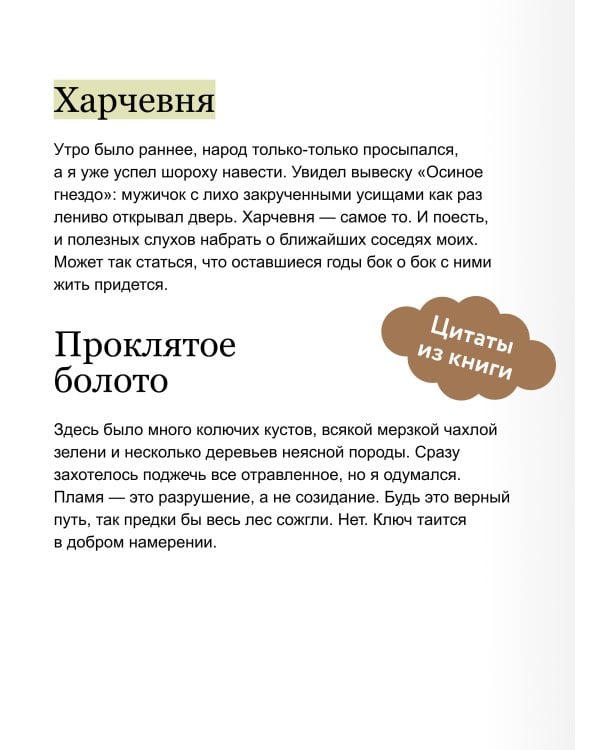 Дополнительное изображение книги «Буря и чудной отряд»