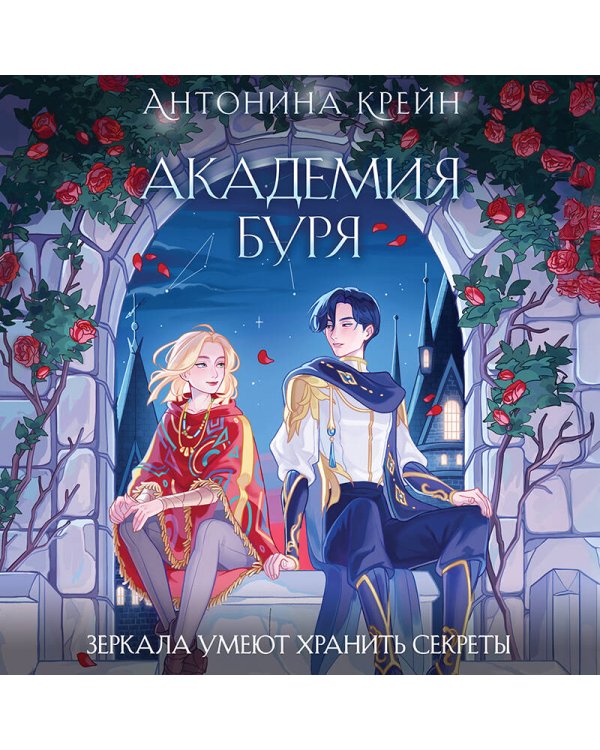 Шолох. Академия Буря