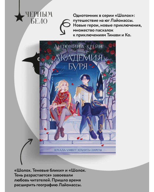 Шолох. Академия Буря