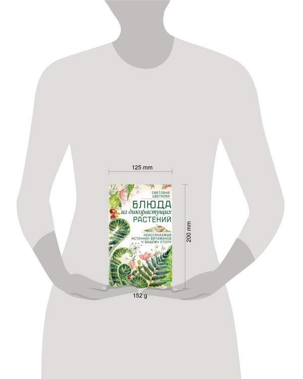 Блюда из дикорастущих растений. Неиссякаемый источник витаминов к вашему столу