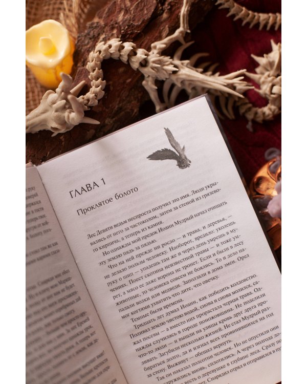 Дополнительное изображение книги «Буря и чудной отряд»