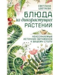 Блюда из дикорастущих растений. Неиссякаемый источник витаминов к вашему столу