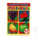ФРУКТЫ И ОВОЩИ. ПРОСТАЯ РАСКРАСКА ДЛЯ МАЛЕНЬКИХ, 64 КАРТИНКИ. ФОРМАТ: 205Х280 ММ в кор.30шт