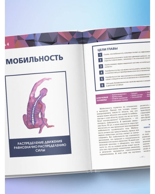 Принципы движения