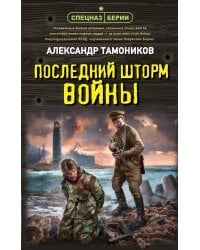 Последний шторм войны