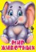 ЦК МИНИ. МИР ЖИВОТНЫХ