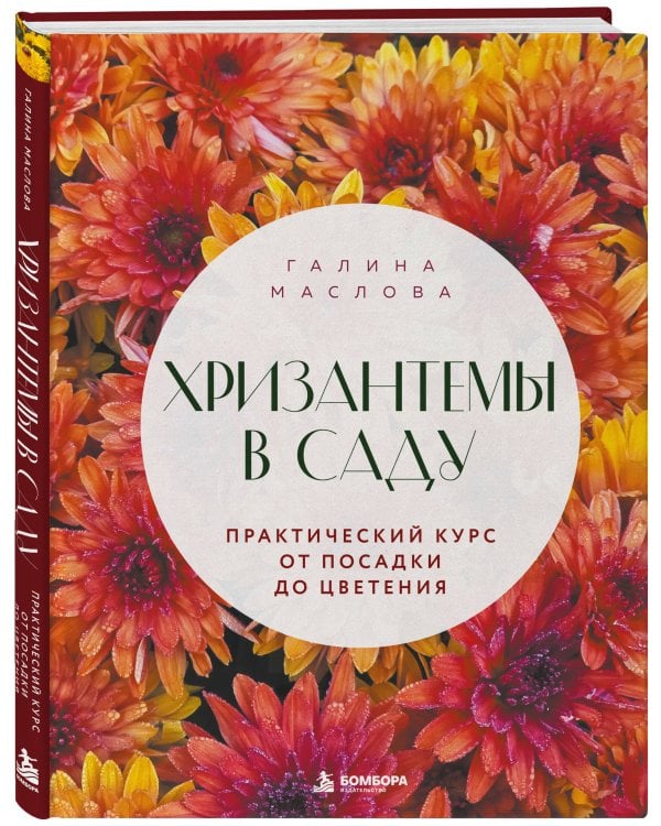 Дополнительное изображение книги «Хризантемы в саду. Практический курс от посадки до цветения»
