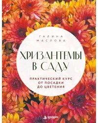 Хризантемы в саду. Практический курс от посадки до цветения