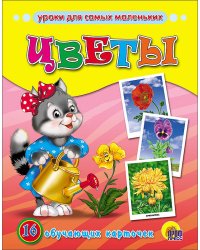 Цветы