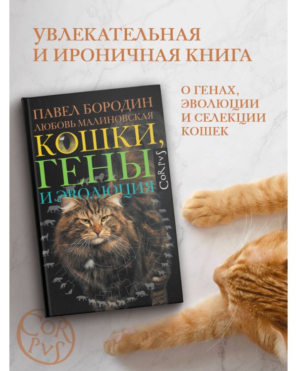Кошки, гены и эволюция
