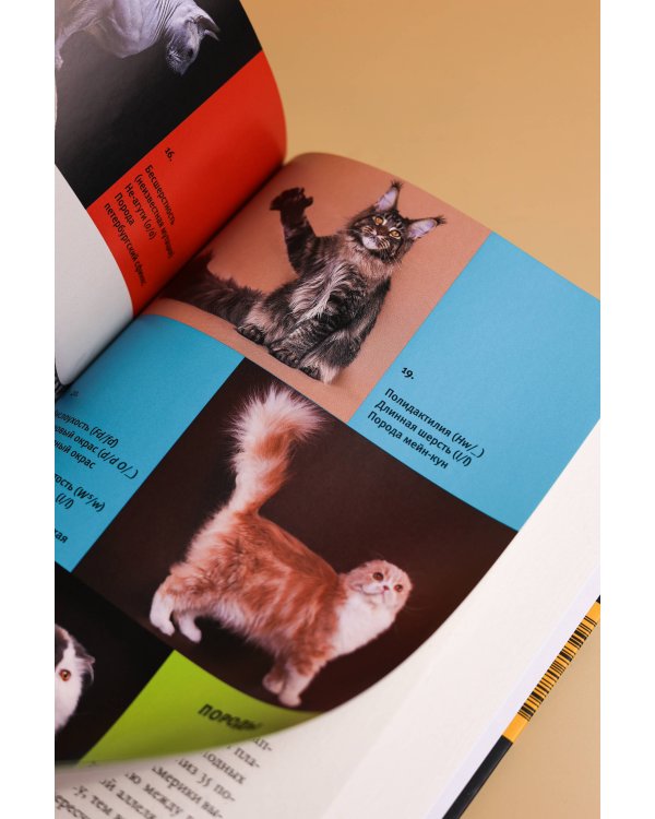 Дополнительное изображение книги «Кошки, гены и эволюция»