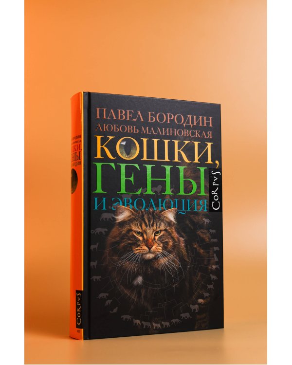 Дополнительное изображение книги «Кошки, гены и эволюция»