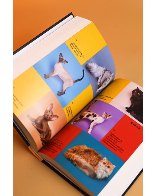Дополнительное изображение книги «Кошки, гены и эволюция»