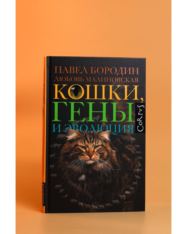 Дополнительное изображение книги «Кошки, гены и эволюция»