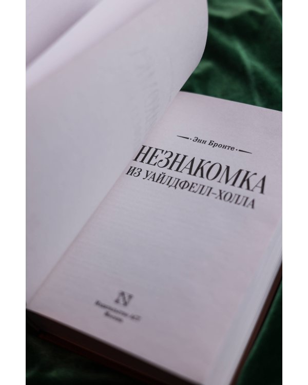 Незнакомка из Уайлдфелл-Холла