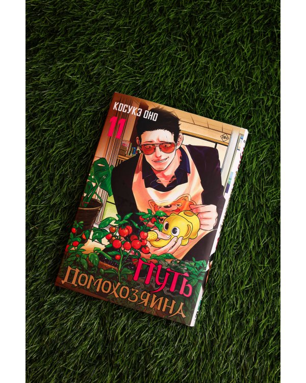 Путь домохозяина. Том 11