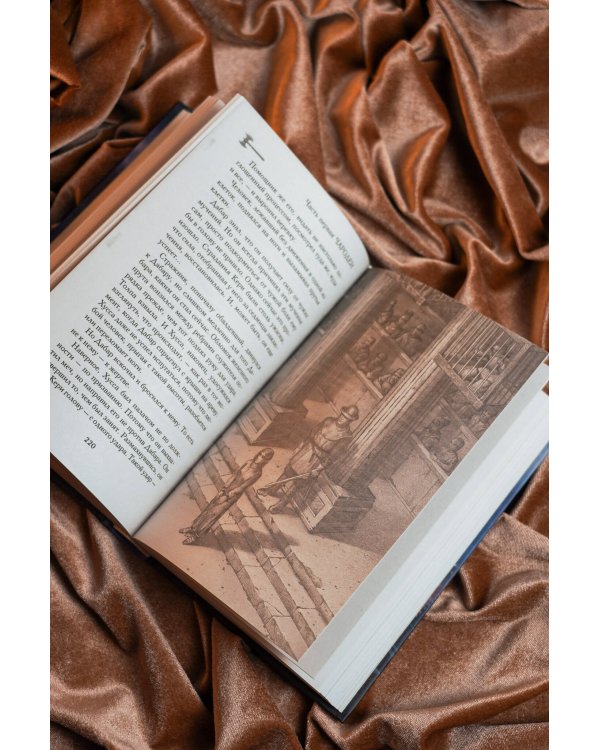 Дополнительное изображение книги «Псы и чародеи. Книга 1»