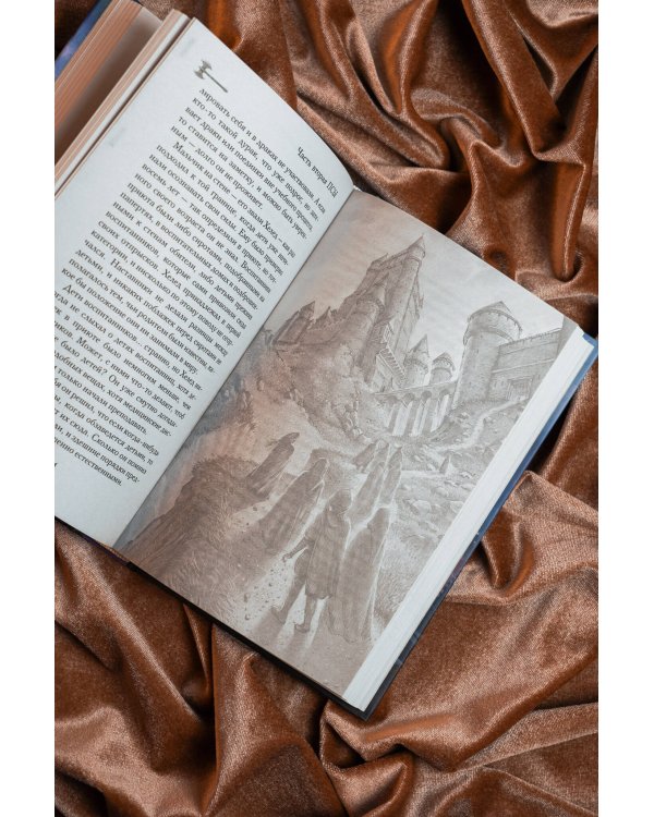 Дополнительное изображение книги «Псы и чародеи. Книга 1»