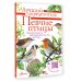 Лучший определитель Певчие птицы. Средняя полоса европейской части России. Определитель с голосами птиц