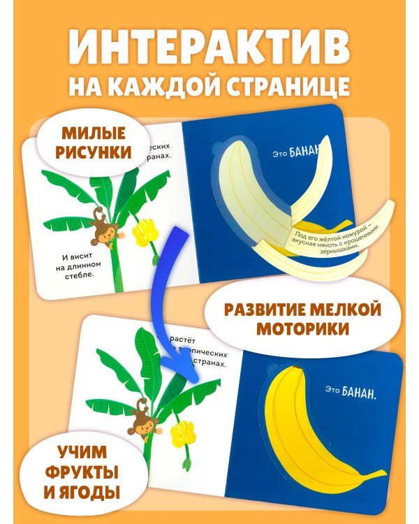 Дополнительное изображение книги «Фрукты и ягоды»
