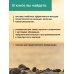 По закону Парето: психологические методики устранения жизненных проблем