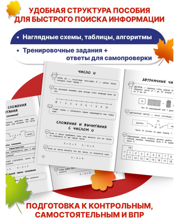 Математика. Теория, примеры, задания. 1-4 классы