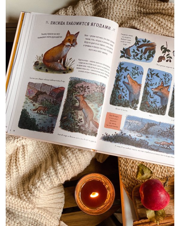 Оглянись вокруг. 50 маленьких событий в живой природе, ради которых стоит замедлиться