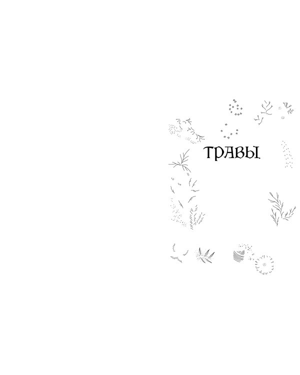 Травы. Магические запасы. Иллюстрированное руководство по сбору и заготовке волшебных растений, их полезным свойствам и сезонным ритуалам