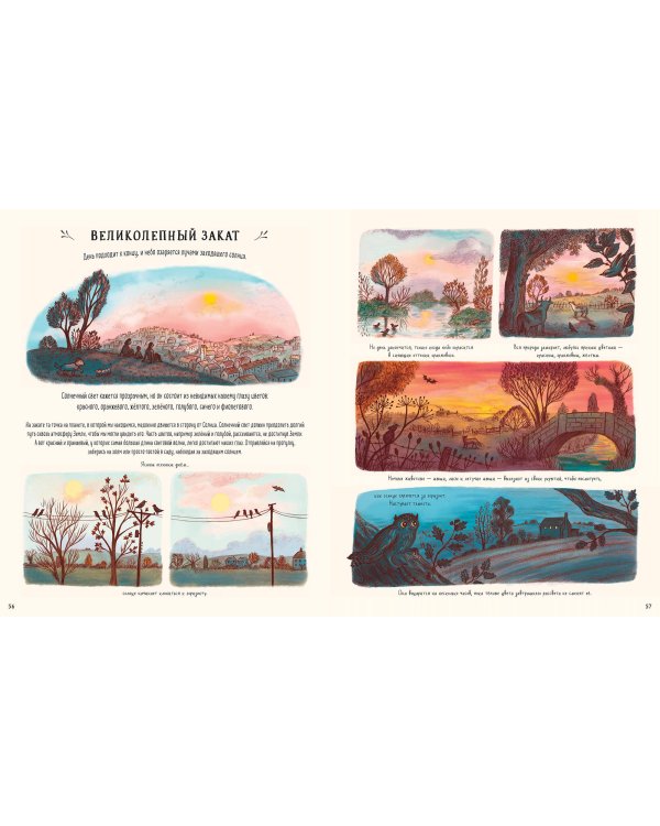 Оглянись вокруг. 50 маленьких событий в живой природе, ради которых стоит замедлиться