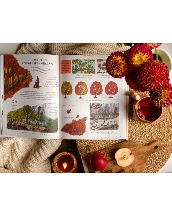 Оглянись вокруг. 50 маленьких событий в живой природе, ради которых стоит замедлиться