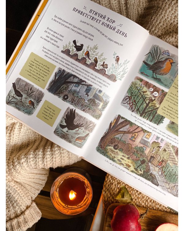 Оглянись вокруг. 50 маленьких событий в живой природе, ради которых стоит замедлиться