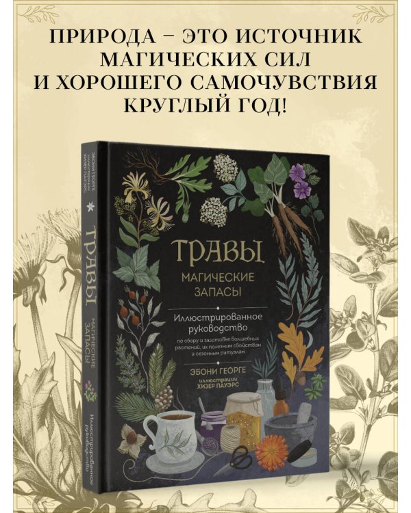 Травы. Магические запасы. Иллюстрированное руководство по сбору и заготовке волшебных растений, их полезным свойствам и сезонным ритуалам