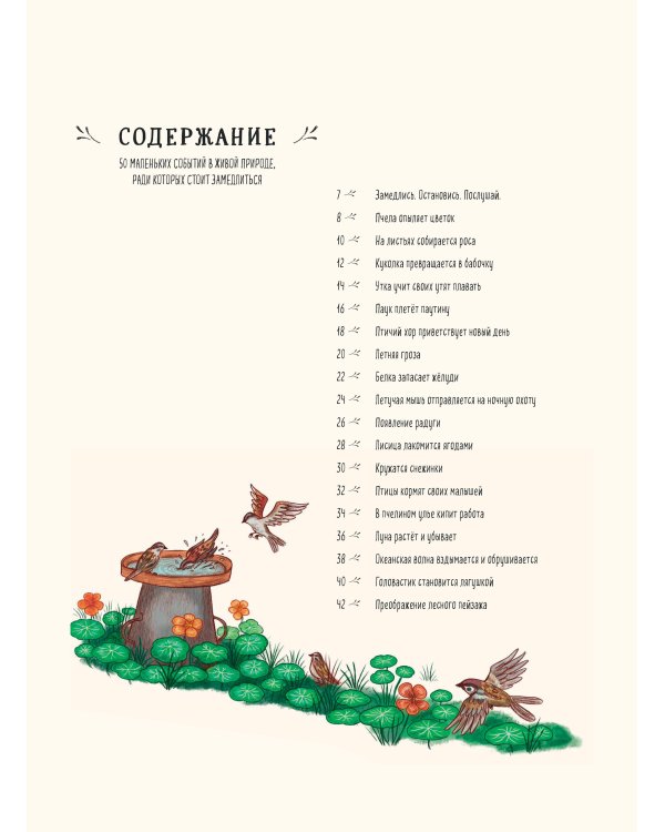 Оглянись вокруг. 50 маленьких событий в живой природе, ради которых стоит замедлиться