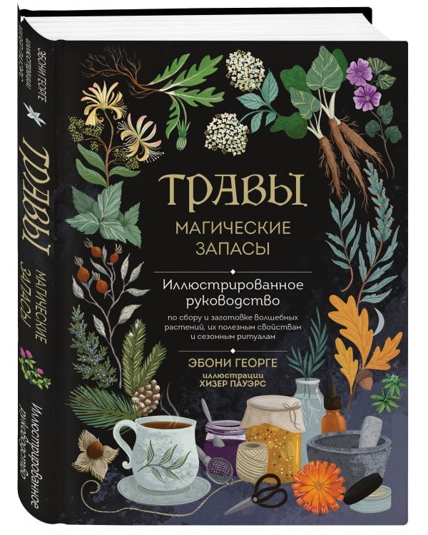 Травы. Магические запасы. Иллюстрированное руководство по сбору и заготовке волшебных растений, их полезным свойствам и сезонным ритуалам