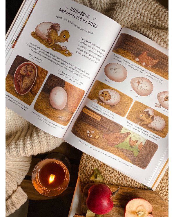 Оглянись вокруг. 50 маленьких событий в живой природе, ради которых стоит замедлиться