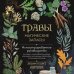 Травы. Магические запасы. Иллюстрированное руководство по сбору и заготовке волшебных растений, их полезным свойствам и сезонным ритуалам