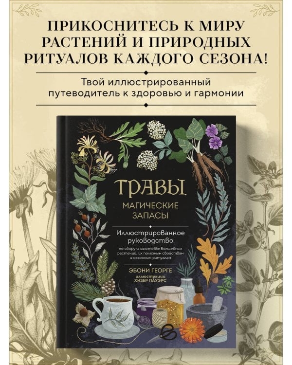 Травы. Магические запасы. Иллюстрированное руководство по сбору и заготовке волшебных растений, их полезным свойствам и сезонным ритуалам