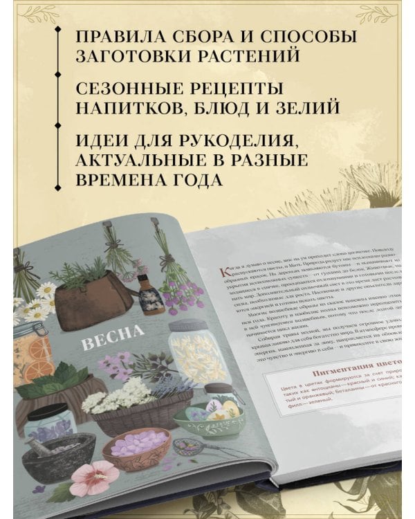 Травы. Магические запасы. Иллюстрированное руководство по сбору и заготовке волшебных растений, их полезным свойствам и сезонным ритуалам