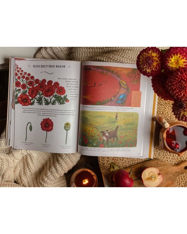 Оглянись вокруг. 50 маленьких событий в живой природе, ради которых стоит замедлиться