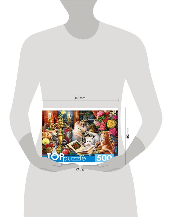 TOPpuzzle. ПАЗЛЫ 500 элементов. П500-0736 НОЧНЫЕ КОТЯТА