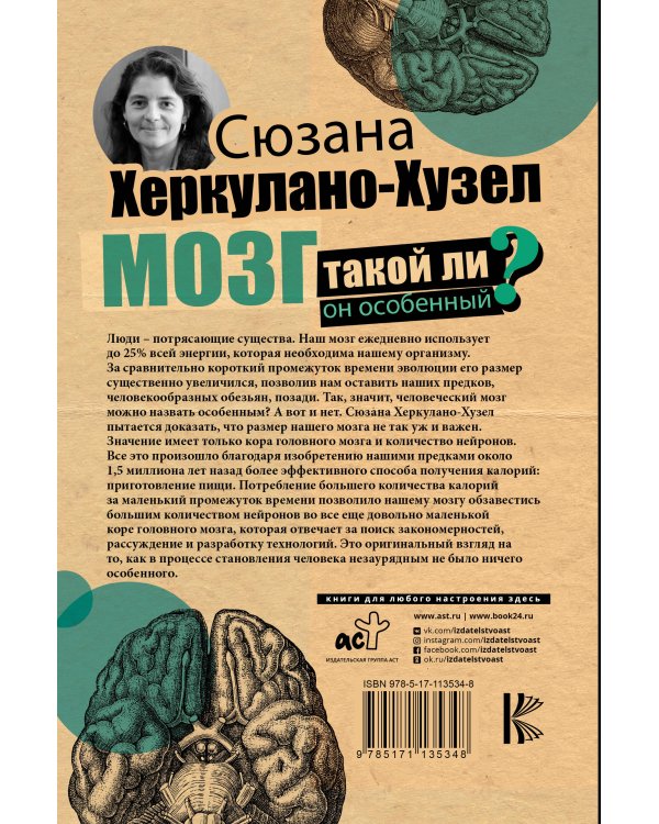 Мозг. Такой ли он особенный?