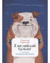 Я английский бульдог