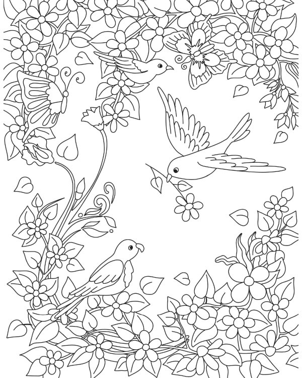 Таинственный сад