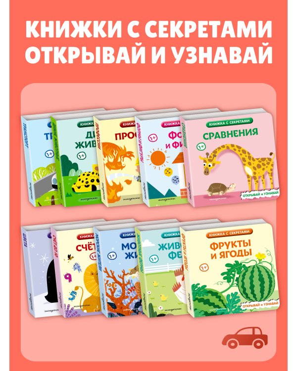 Дополнительное изображение книги «Транспорт»