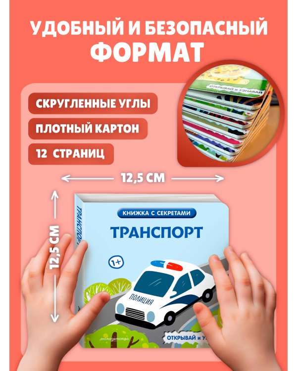 Дополнительное изображение книги «Транспорт»